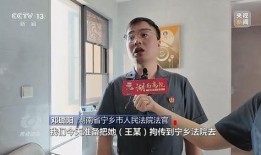 肥西女婿爆料新闻事件真相,揭开新闻事件背后惊人真相